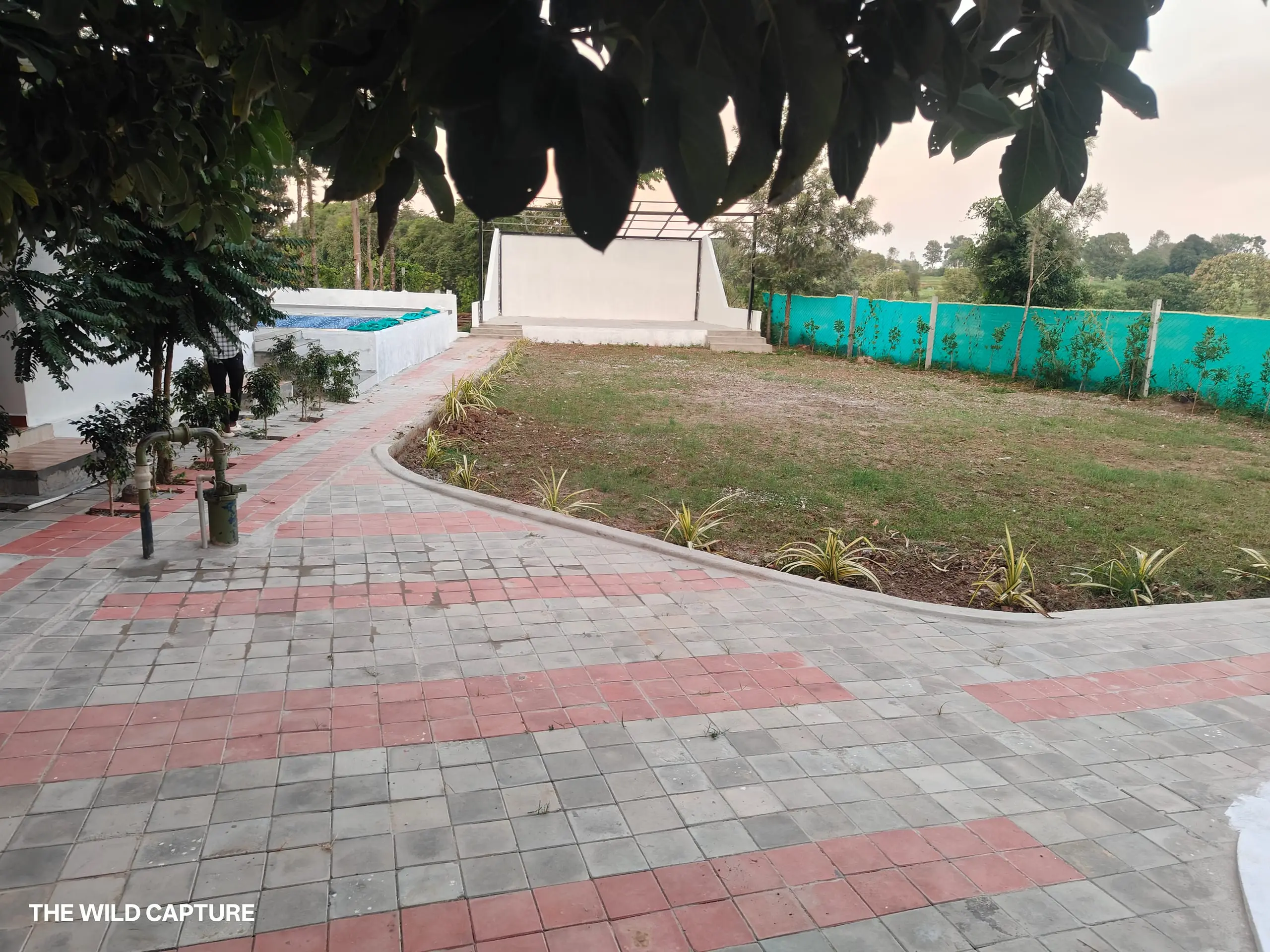Paved pathway leading past the lawn to the open-air stage